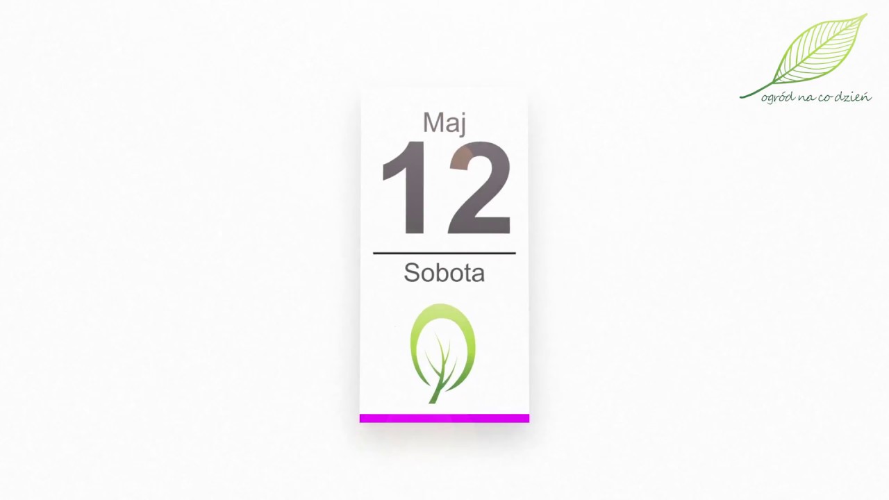 Kalendarz ogrodnika na 07.05 – 13.05 – maj w ogrodzie