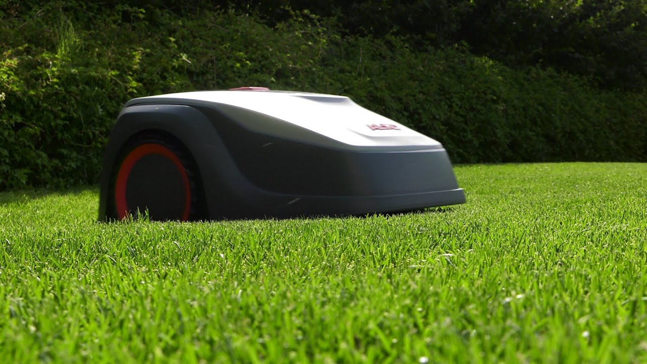 Robot koszący trawnik- zalety i wady