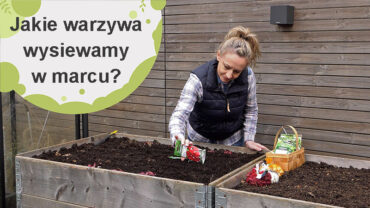 Jakie warzywa wysiewamy w marcu?