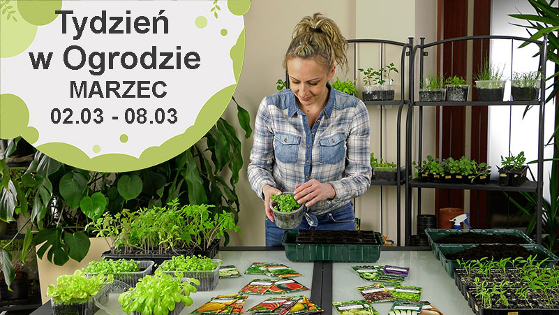 Marzec w ogrodzie, kalendarium ogrodnika