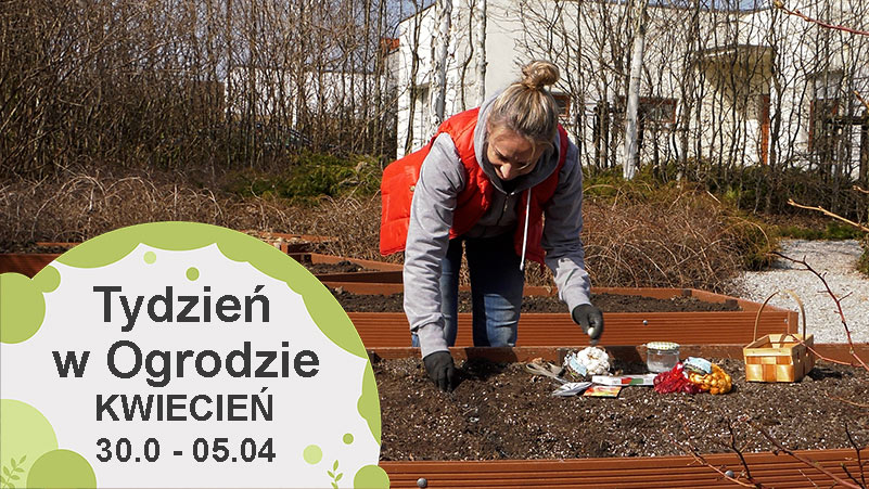 Kwiecień w ogrodzie, kalendarz ogrodnika