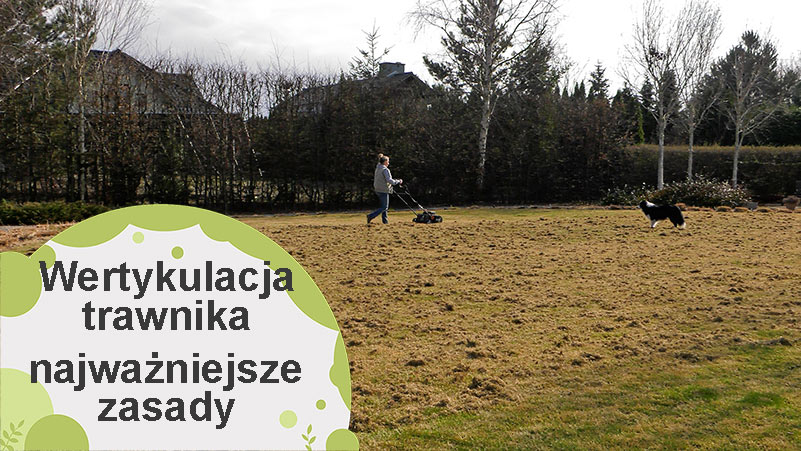 Wertykulacja trawnika – najważniejsze zasady