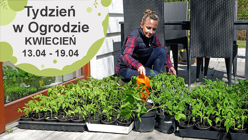 Kwiecień w ogrodzie, kalendarz ogrodnika