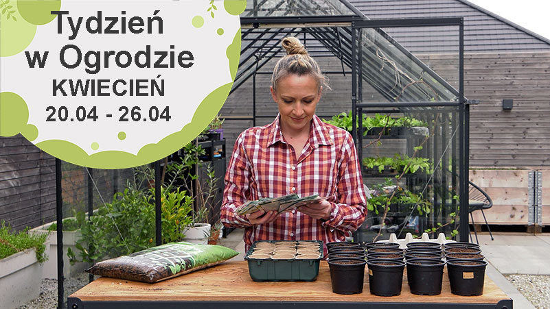 Kwiecień w ogrodzie, kalendarz ogrodnika