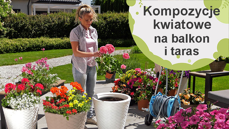 Kompozycje kwiatowe na balkon i taras – inspiracje
