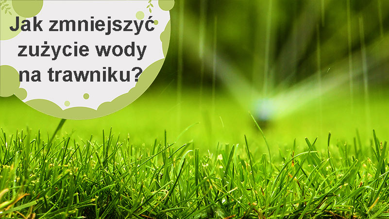 Jak zmniejszyć zużycie wody i zoptymalizować podlewanie trawnika?