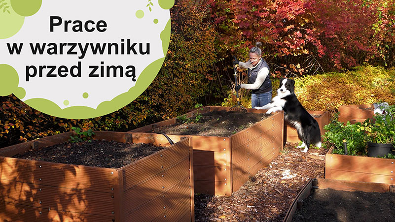 Jak przygotować grządki do kolejnego sezonu?