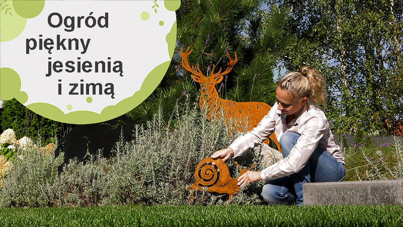 Ogród piękny jesienią i zimą. Całoroczne dekoracje ogrodu.